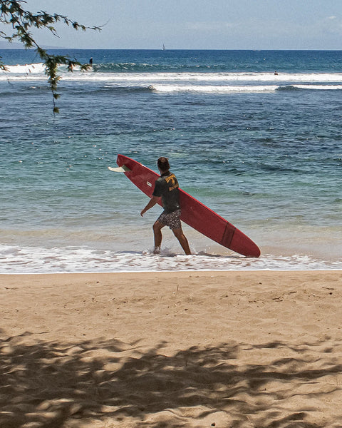 300 Boardshorts - Alphabet Soup